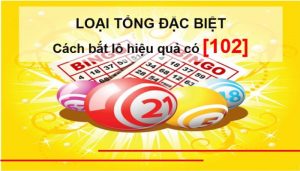 Loại tổng đặc biệt trong ng&agrave;y h&ocirc;m nay chuẩn x&aacute;c nhất