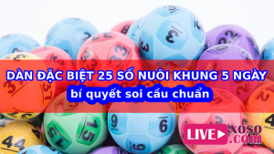 D&agrave;n đặc biệt 25 số nu&ocirc;i khung 5 ng&agrave;y b&iacute; quyết soi cầu chuẩn