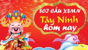 Dự đo&aacute;n XSTN