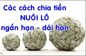 Phương ph&aacute;p ph&acirc;n bổ tiền nu&ocirc;i l&ocirc; hiệu quả