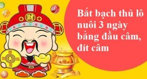 B&iacute; k&iacute;p bắt bạch thủ l&ocirc; nu&ocirc;i 3 ng&agrave;y bằng phương ph&aacute;p đầu đu&ocirc;i c&acirc;m