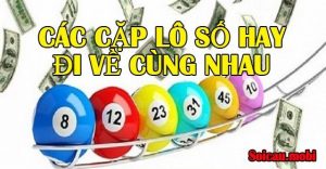 C&aacute;c cặp l&ocirc; hay về c&ugrave;ng nhau