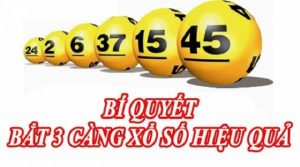 Đ&aacute;nh đề 3 c&agrave;ng theo ng&agrave;y