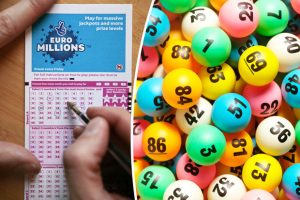 đ&aacute;nh l&ocirc; theo ng&agrave;y hiệu quả